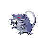 Shadow Raticate
